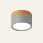 Cylinder Surface Mount Ceiling Light with LED
