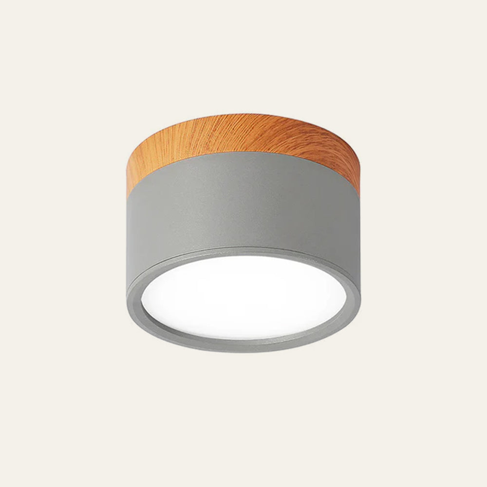 Cylinder Surface Mount Ceiling Light with LED