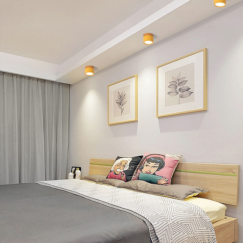 Cylinder Surface Mount Ceiling Light with LED