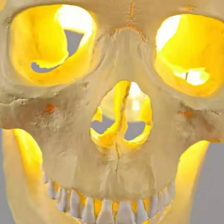Halloween Skull Pendant Light Resin Skull Shade Iron Hanging Ceiling Lamp Gothic Decorative Light Fixture for Living Room Dining Room and Bar