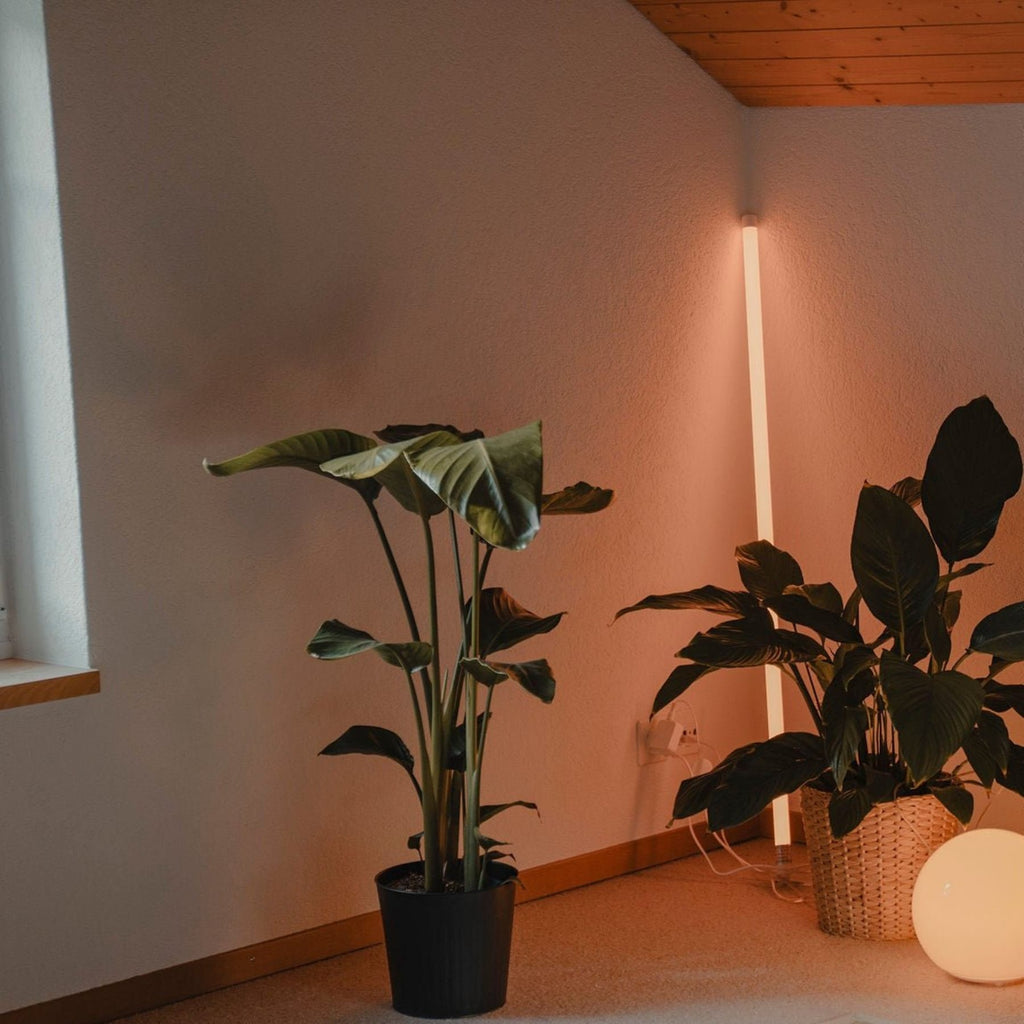 Minimalist Plastic LED Floor Lamp for Living Room and Bedroom — Harbor Light Co.