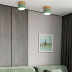 Cylinder Surface Mount Ceiling Light with LED