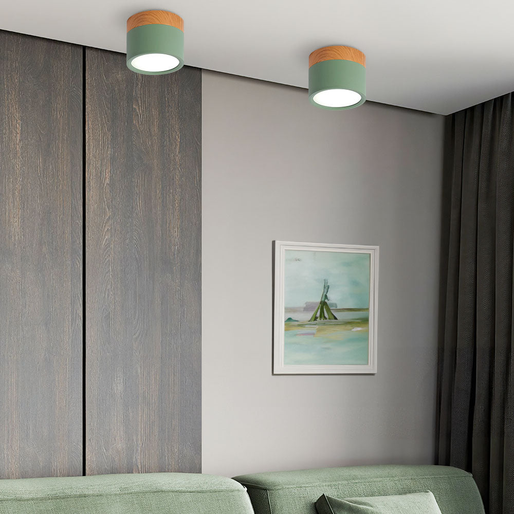 Cylinder Surface Mount Ceiling Light with LED