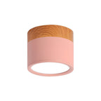 Cylinder Surface Mount Ceiling Light with LED