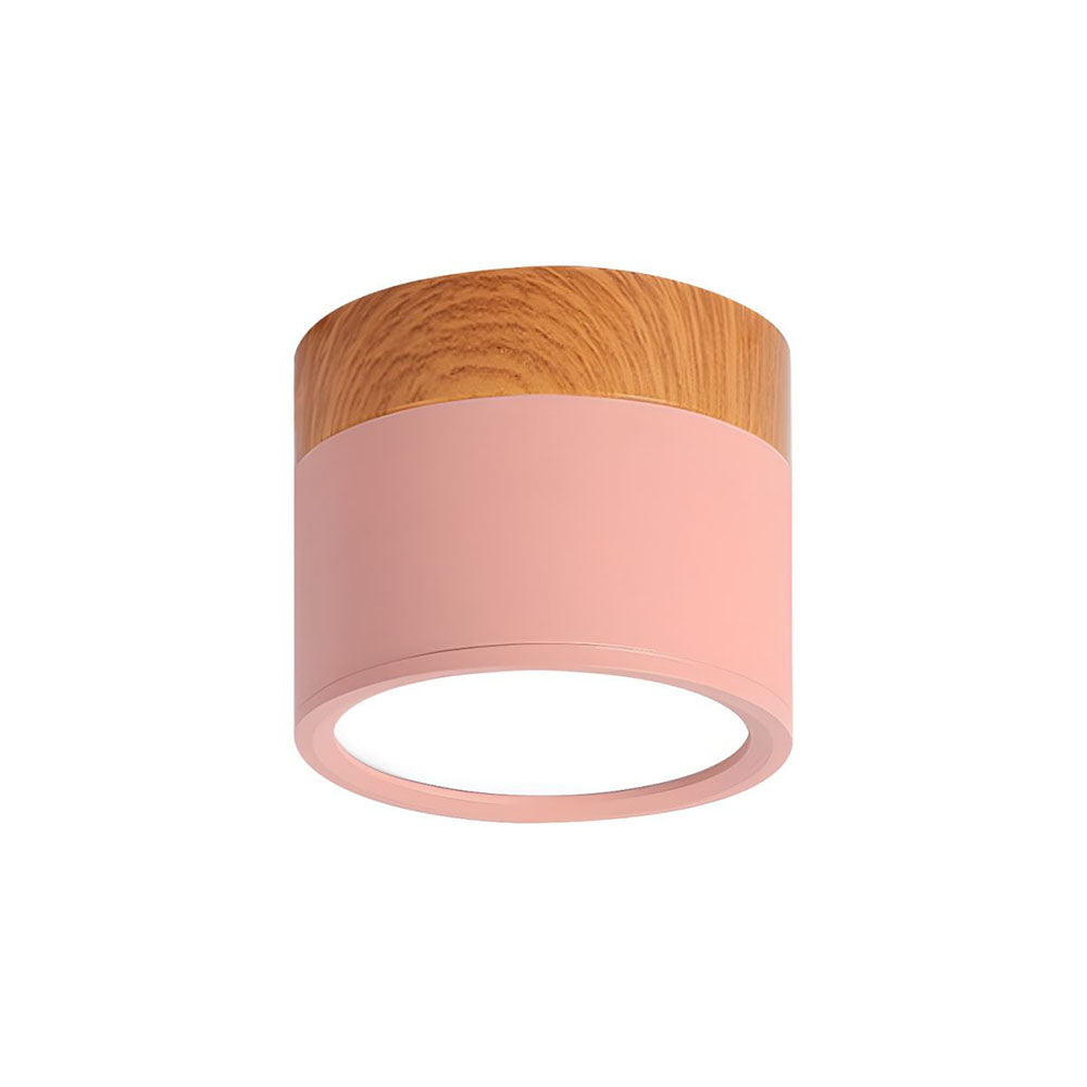 Cylinder Surface Mount Ceiling Light with LED