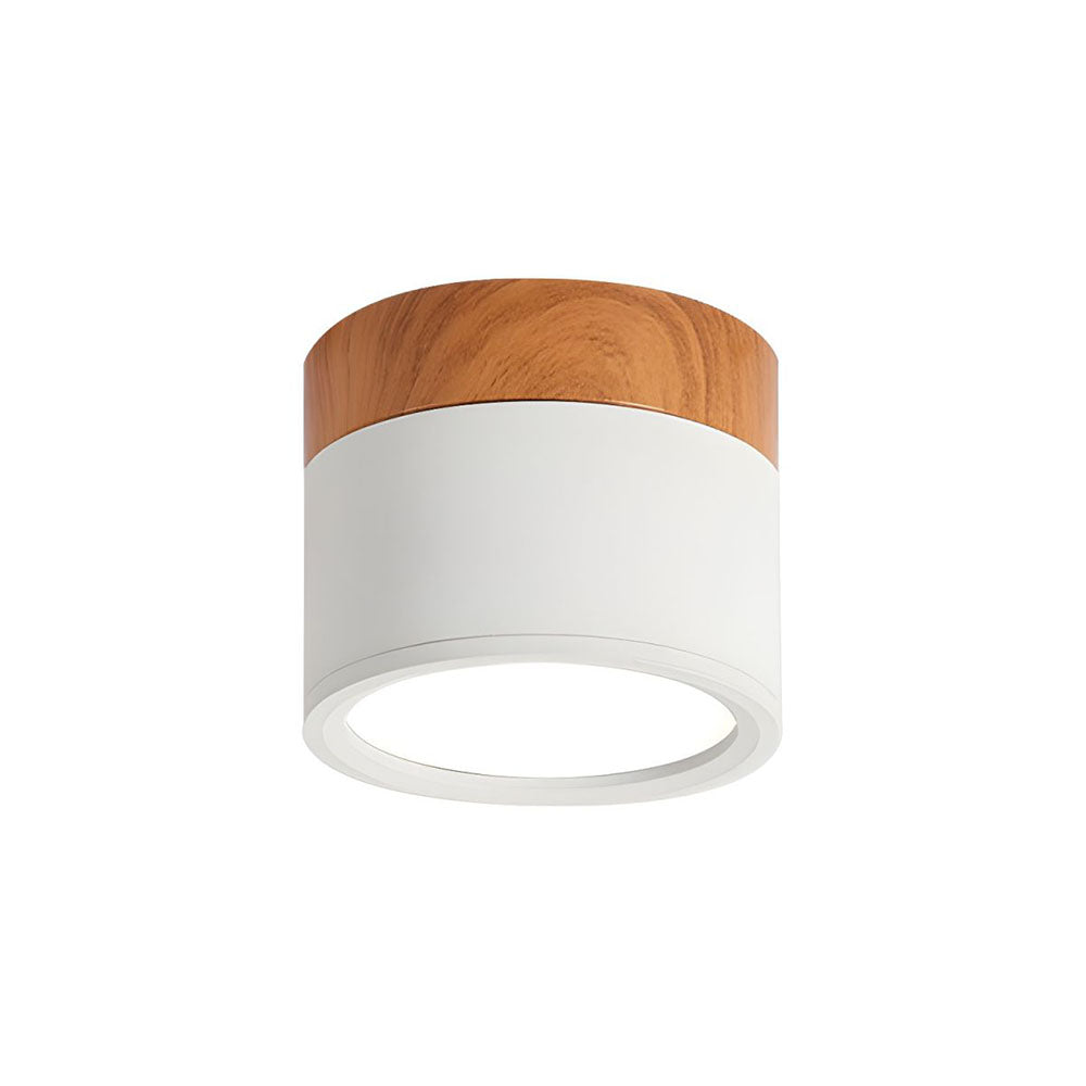 Cylinder Surface Mount Ceiling Light with LED