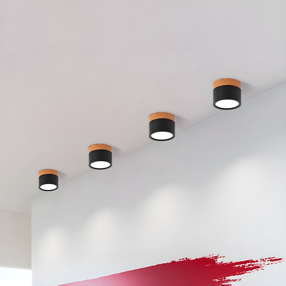 Cylinder Surface Mount Ceiling Light with LED