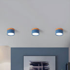 Cylinder Surface Mount Ceiling Light with LED