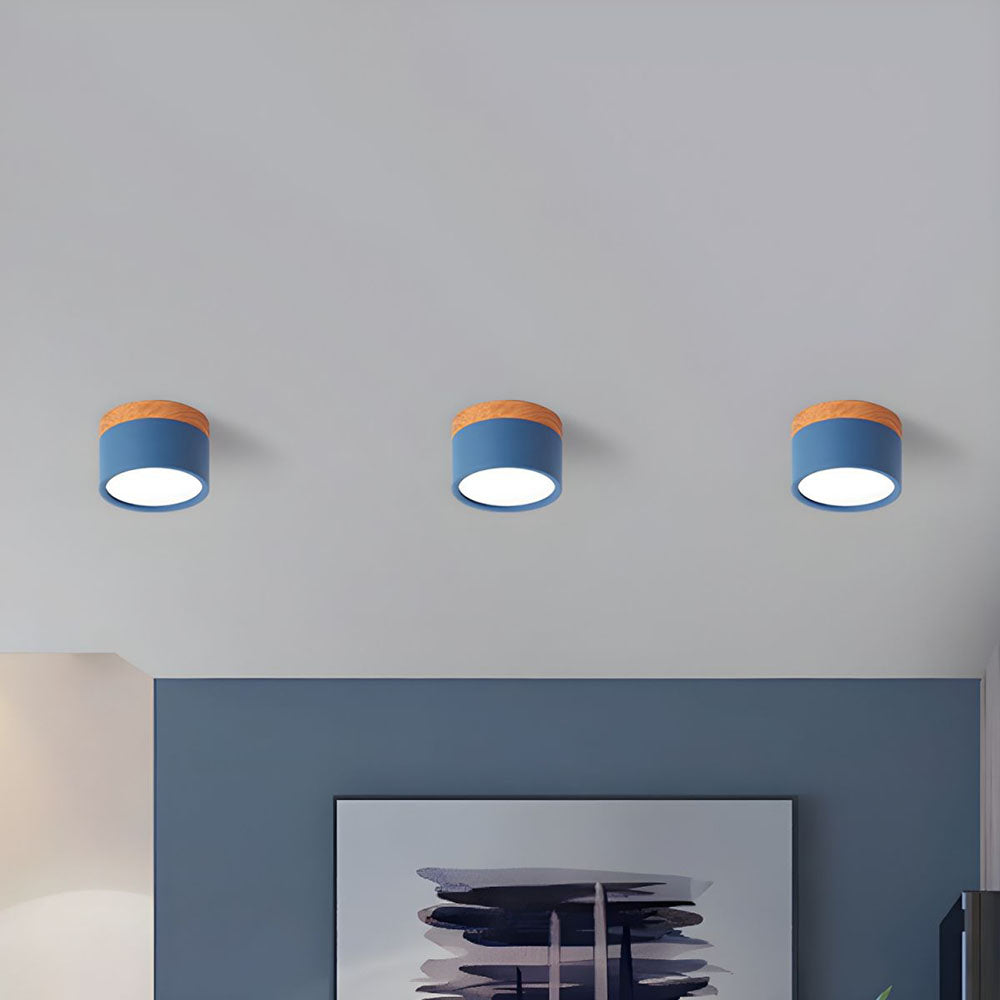Cylinder Surface Mount Ceiling Light with LED