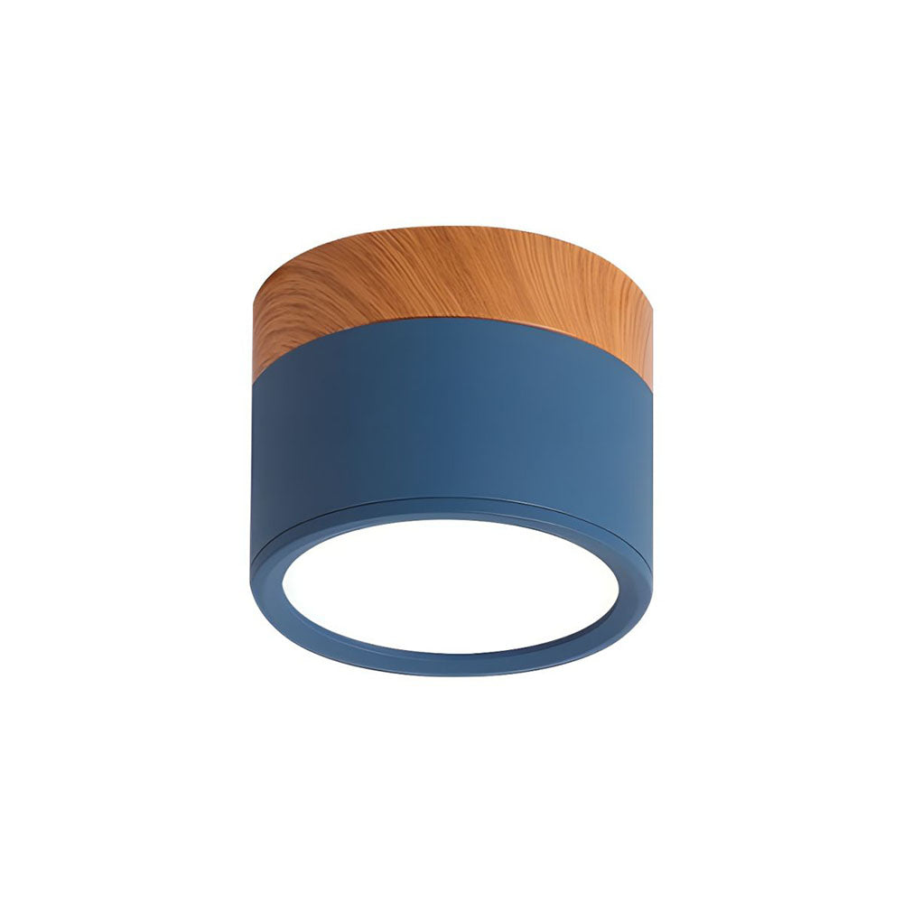 Cylinder Surface Mount Ceiling Light with LED