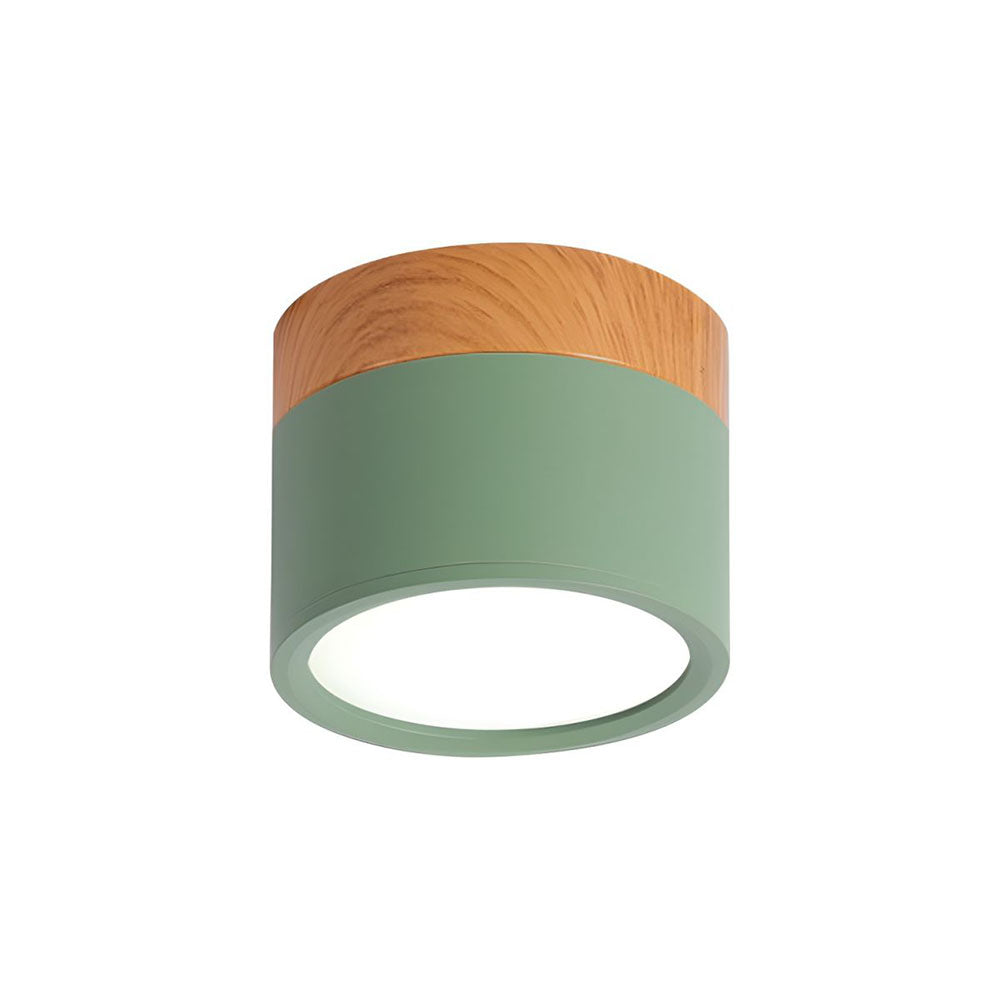 Cylinder Surface Mount Ceiling Light with LED