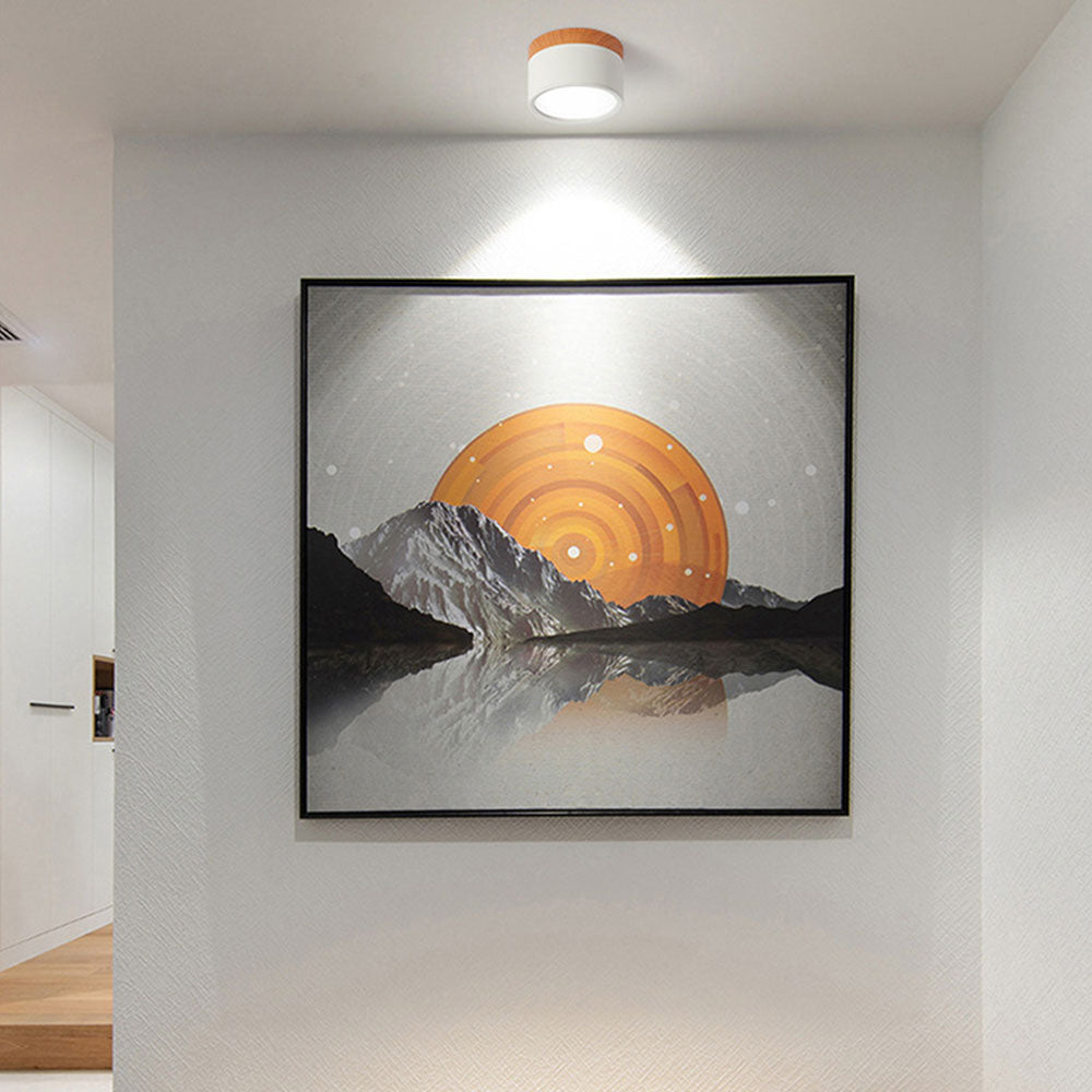 Cylinder Surface Mount Ceiling Light with LED