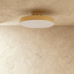 Modern Iron Semi-Flush Mount Ceiling Light for Living Room — Harbor Light Co.