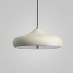 Modern Iron Pendant Light With Warm LED Glow for Dining Room — Harbor Light Co.