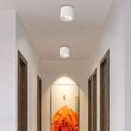 Modern Iron Flush Mount Ceiling Light With Built-In LED in White — Harbor Light Co.