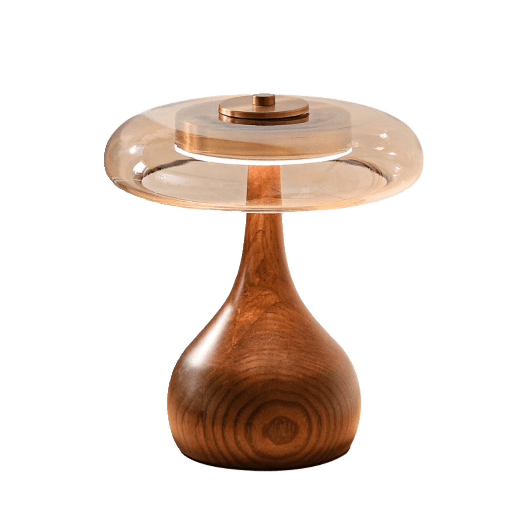 Modern Ash Wood and Brass Table Lamp for Living Room — Harbor Light Co.