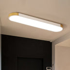 Modern Linear Metal Flush Mount Ceiling Light With Dimmable Remote — Harbor Light Co.