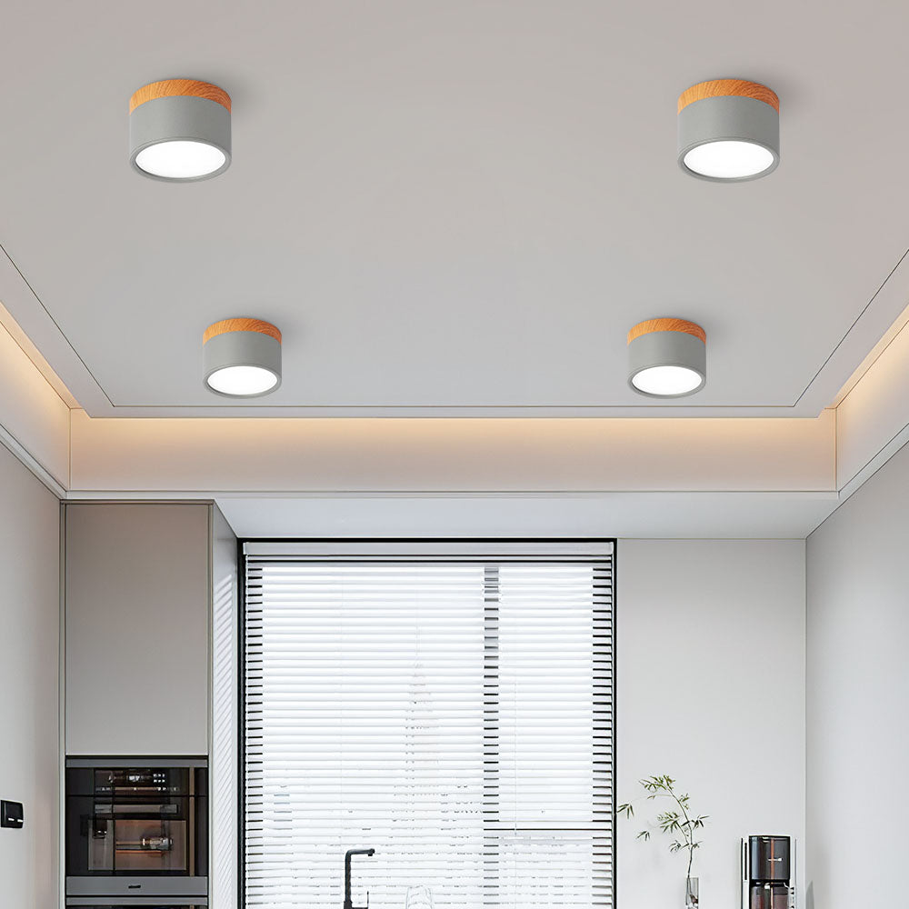 Cylinder Surface Mount Ceiling Light with LED