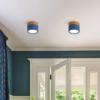 Cylinder Surface Mount Ceiling Light with LED