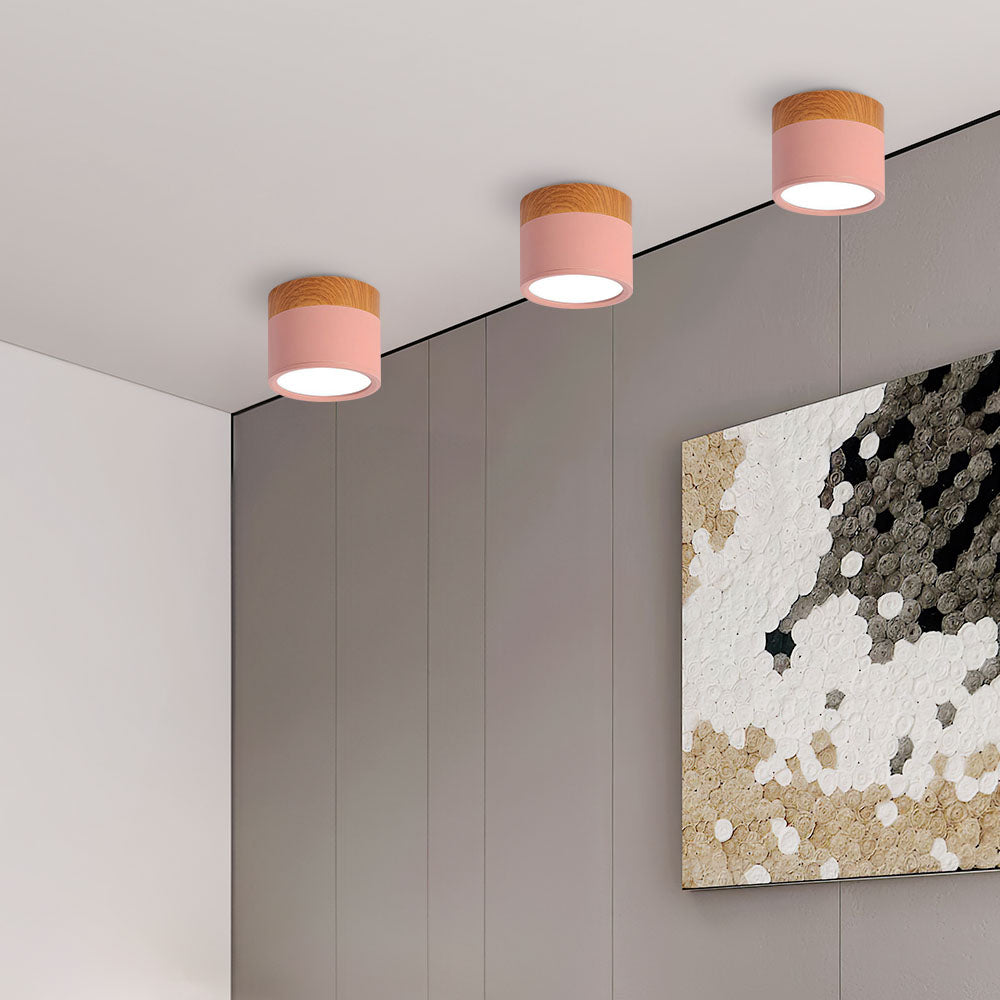 Cylinder Surface Mount Ceiling Light with LED