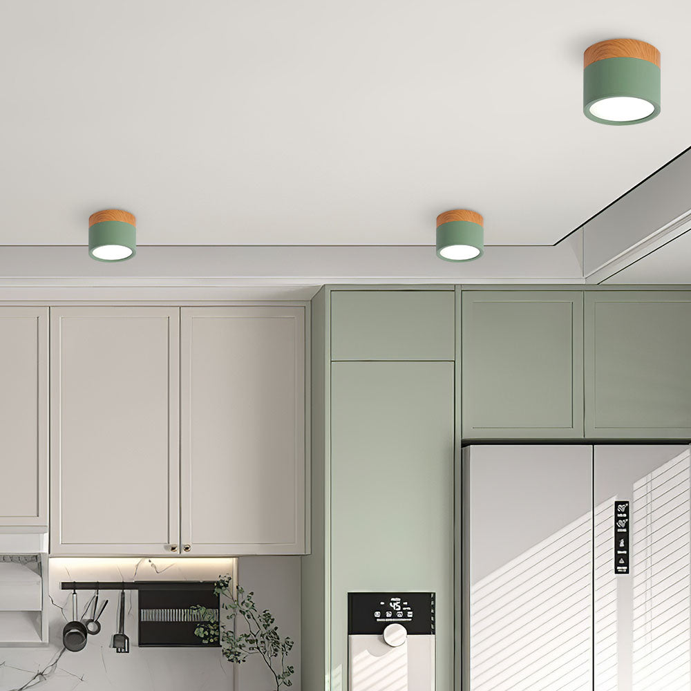 Cylinder Surface Mount Ceiling Light with LED