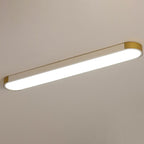 Modern Linear Metal Flush Mount Ceiling Light With Dimmable Remote — Harbor Light Co.