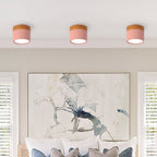 Cylinder Surface Mount Ceiling Light with LED