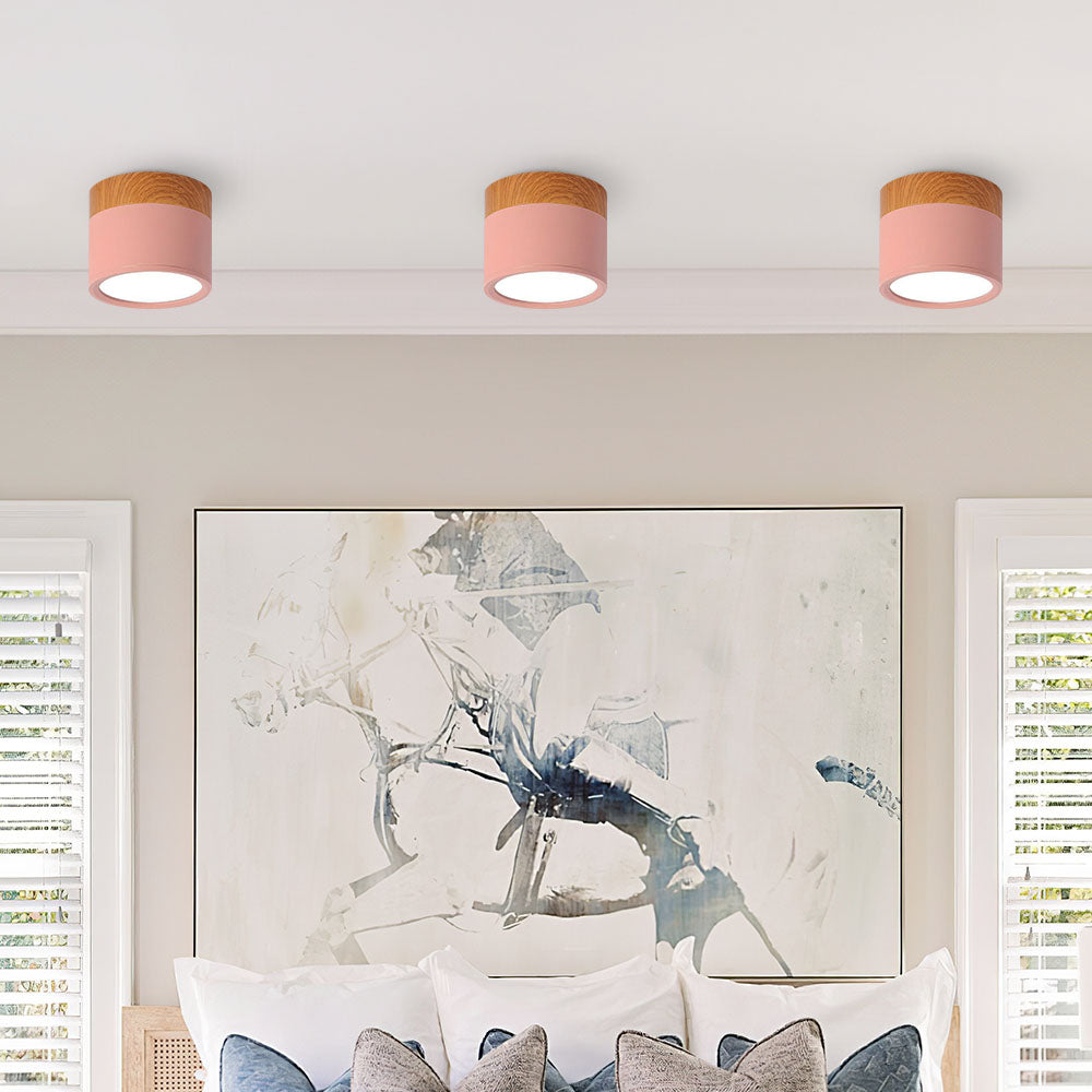 Cylinder Surface Mount Ceiling Light with LED