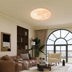 Moon Texture Flush Mount Ceiling Light with Wood Trim