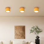Cylinder Surface Mount Ceiling Light with LED