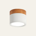 Cylinder Surface Mount Ceiling Light with LED