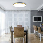 Ultra Slim Round Flush Mount Ceiling Light