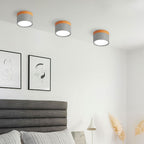 Cylinder Surface Mount Ceiling Light with LED