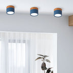 Cylinder Surface Mount Ceiling Light with LED