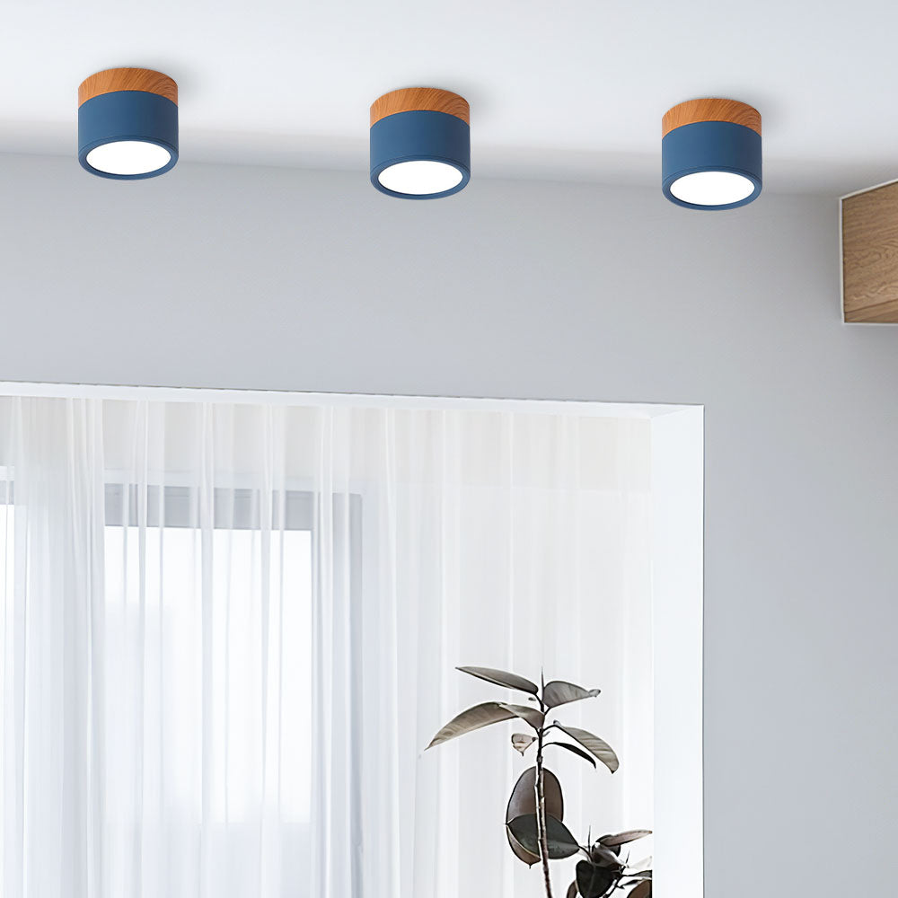 Cylinder Surface Mount Ceiling Light with LED