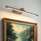 Modern Wrought Iron Wall Light With USB Power for Living Room — Harbor Light Co.