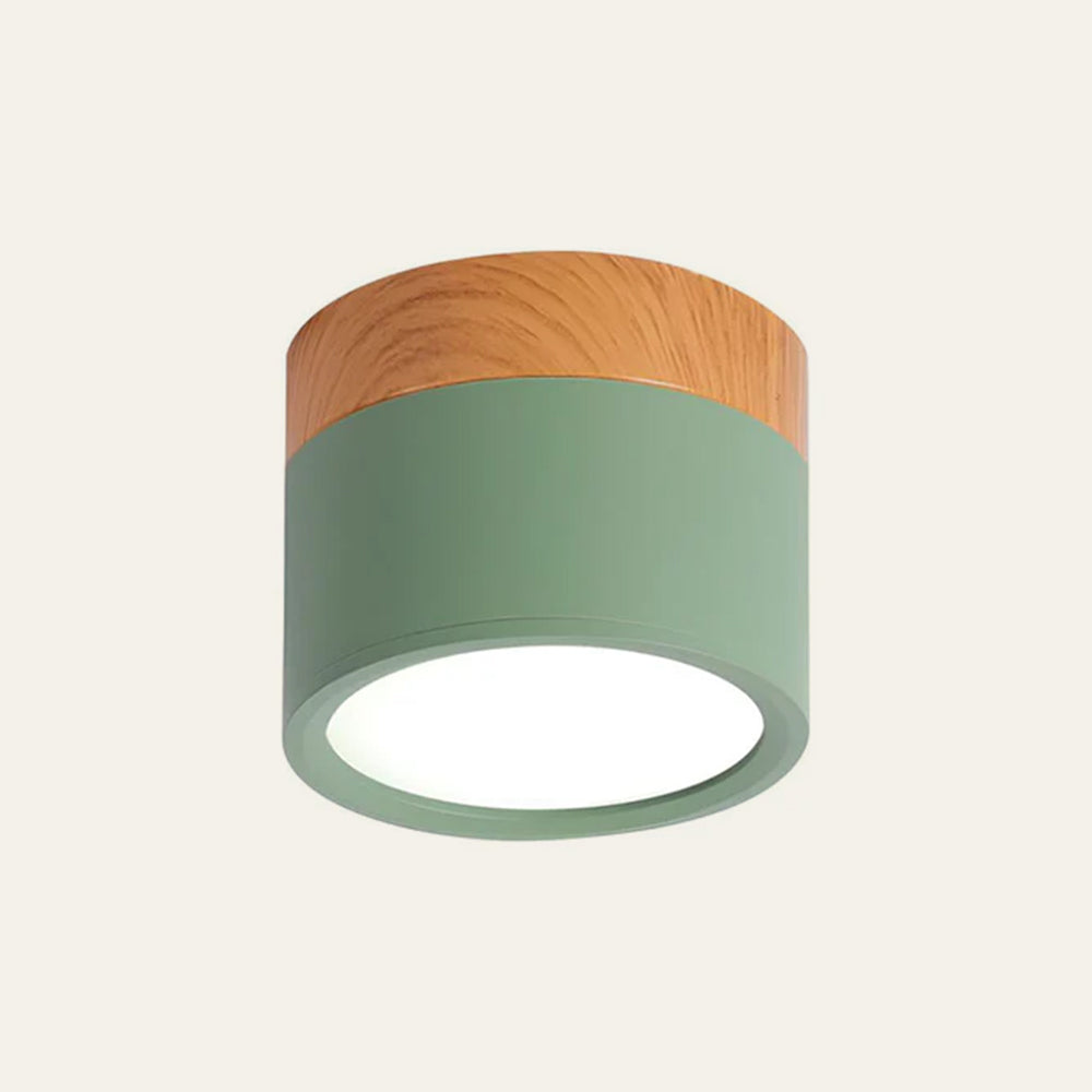 Cylinder Surface Mount Ceiling Light with LED