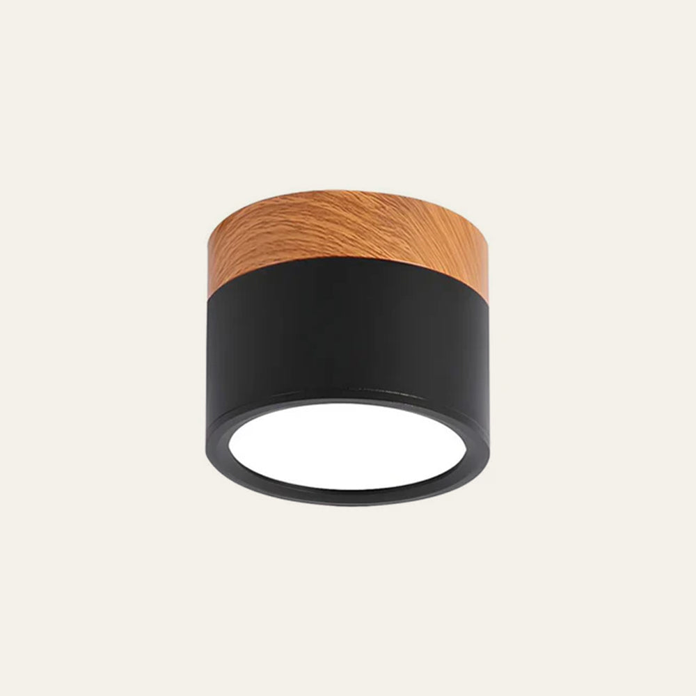 Cylinder Surface Mount Ceiling Light with LED