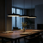 Scandinavian Slim Disc Pendant Light LED Light for Dining Table