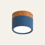 Cylinder Surface Mount Ceiling Light with LED