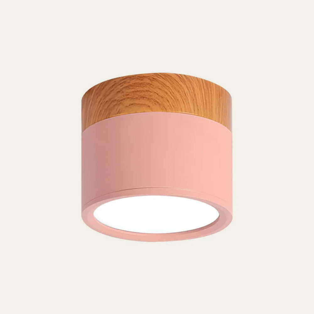Cylinder Surface Mount Ceiling Light with LED