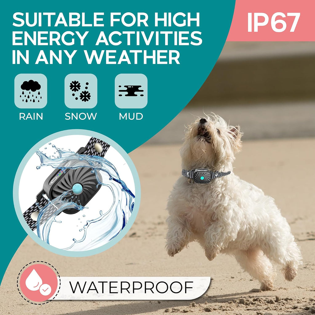 Anti Bark Collar for Small Dogs Rechargeable No Shock Training Collar with Sound and Vibration Adjustable Sensitivity Waterproof