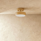 Modern Iron Semi-Flush Mount Ceiling Light for Living Room — Harbor Light Co.