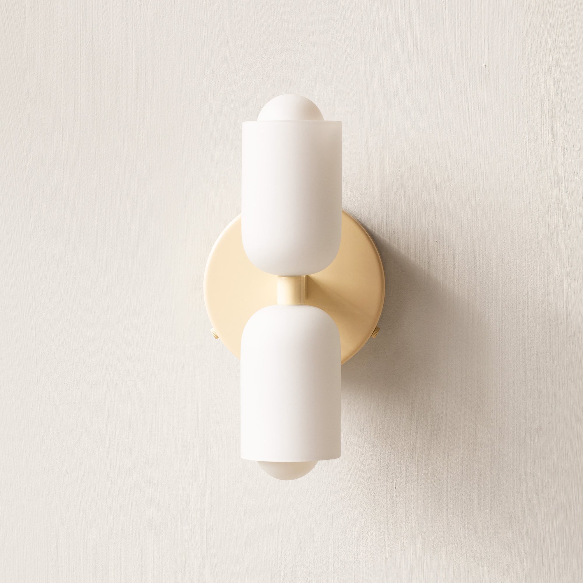 Vintage 2-Light Glass Wall Sconce with Round Backplate