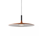 Modern Metal Pendant Light With Dimmable LED Glow — Harbor Light Co.