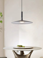 Modern Metal Pendant Light With Dimmable LED Glow — Harbor Light Co.