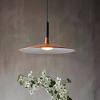Modern Metal Pendant Light With Dimmable LED Glow — Harbor Light Co.