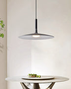 Modern Metal Pendant Light With Dimmable LED Glow — Harbor Light Co.