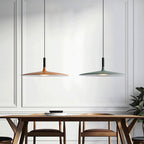 Modern Metal Pendant Light With Dimmable LED Glow — Harbor Light Co.