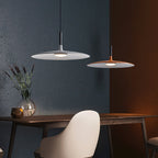 Modern Metal Pendant Light With Dimmable LED Glow — Harbor Light Co.